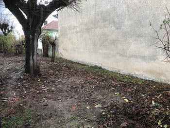 Débarras de maison et jardin réalisé à Roanne par Eloïc Grange, débarras - Après image 6